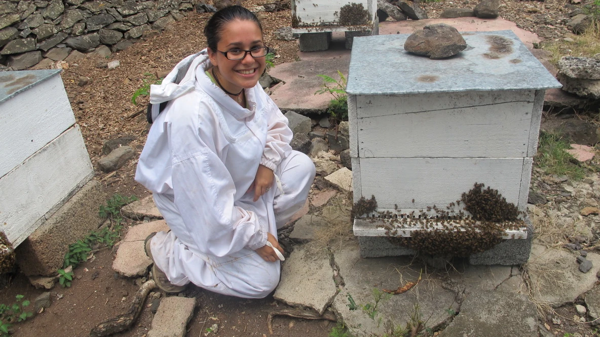 Maéva Techer in beekeeping clothing beside an active honey bee colony on Réunion Island.
