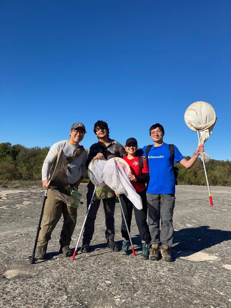 Maéva Techer and collaborators carrying insect nets during field collecting in Texas.