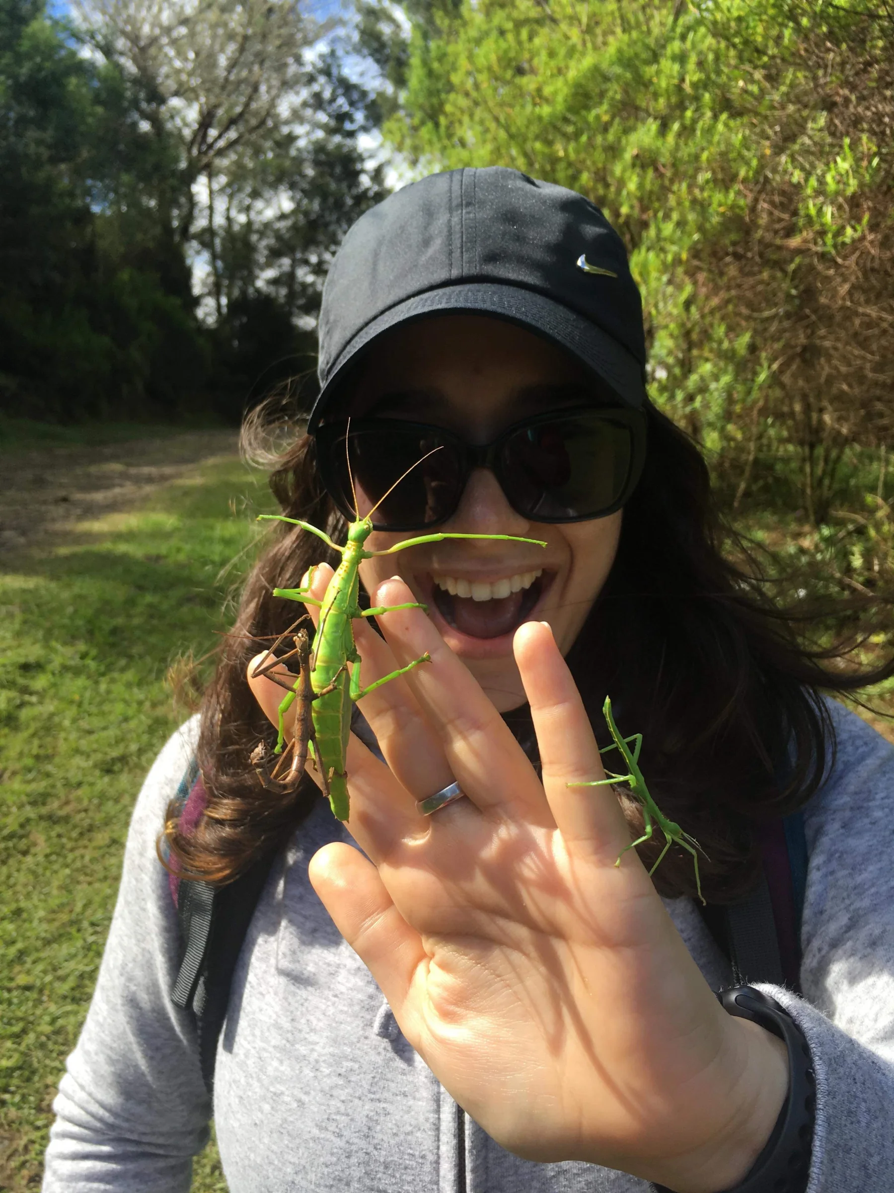 Maéva Techer holding several green stick insects during fieldwork.
