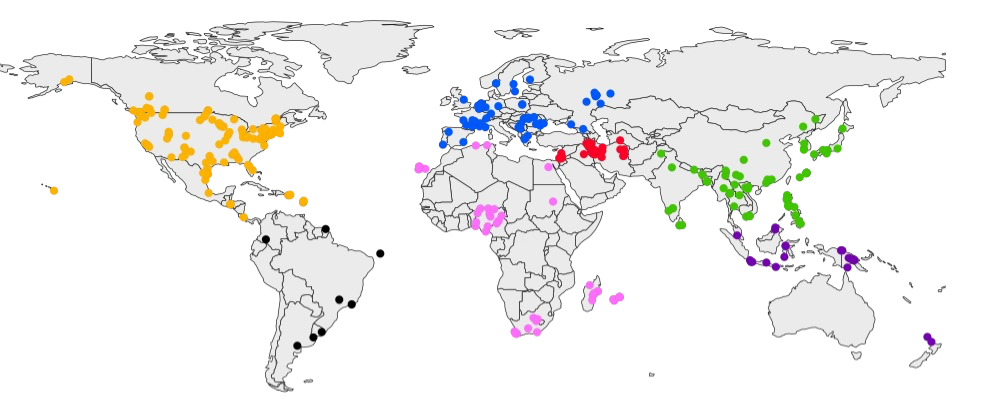 World map showing the broad geographic distribution of the international Varroa sampling collection, with regions distinguished by color.