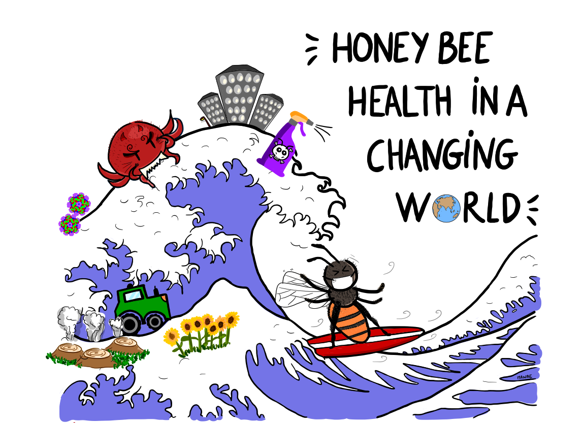 Hand-drawn honey bee surfing a wave in a changing world alongside a Varroa mite, viruses, pesticides, habitat change, and city lights.